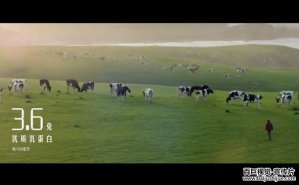 2017蒙牛這次的創(chuàng)意廣告是真的拍的好